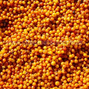 Organic Frozen Seabuckthorn Berry