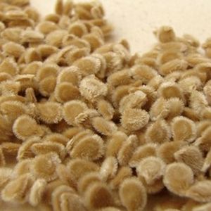 Tomato Seed Oil